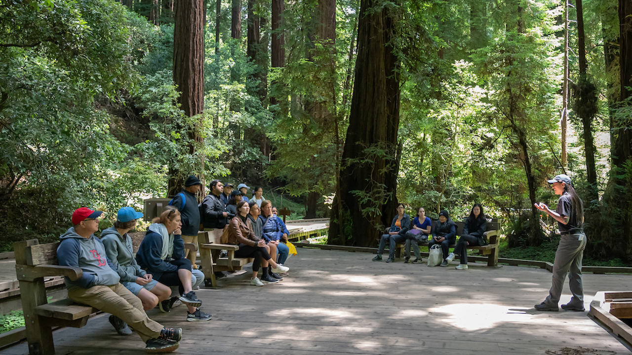 Park staff sharing upcoming projects in Muir Woods Park staff sharing upcoming projects in Muir Woods