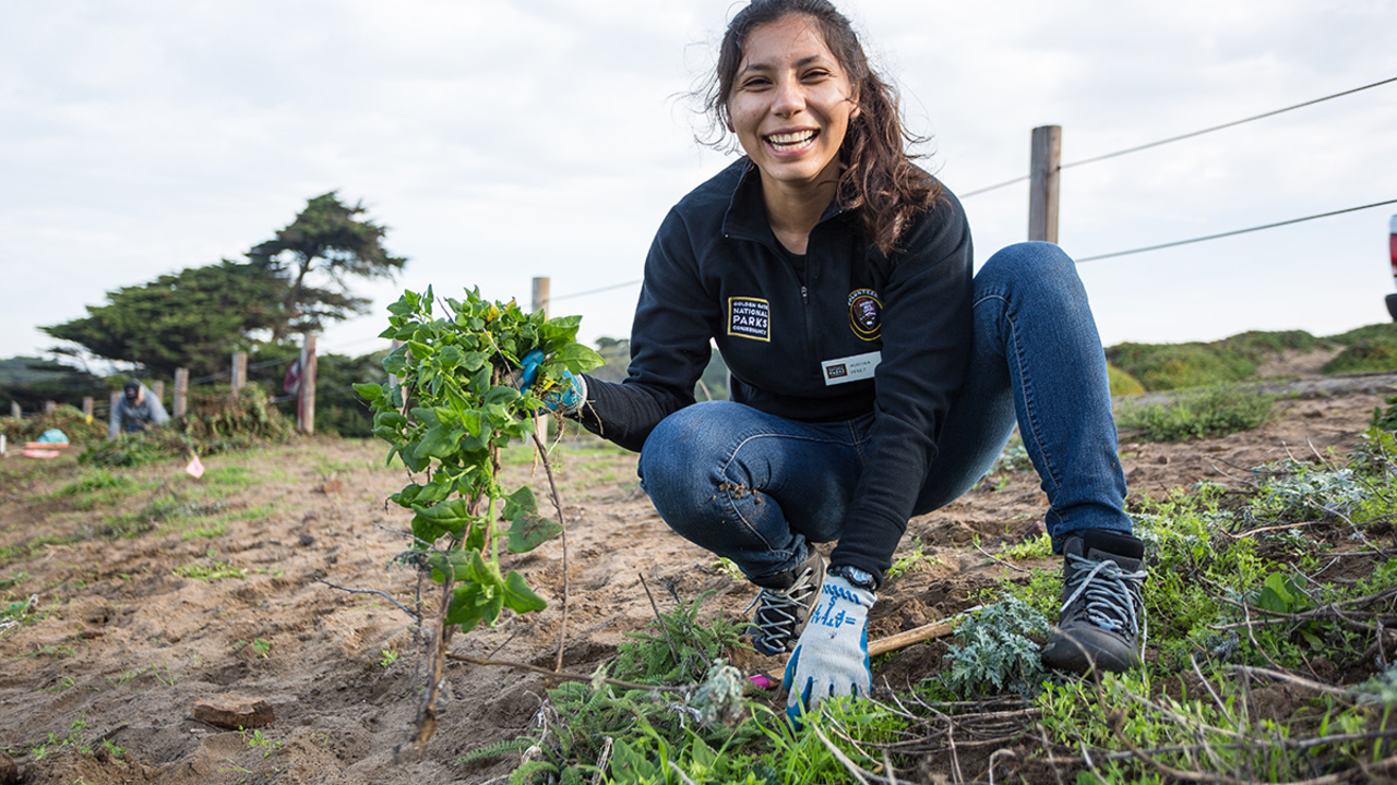 Aurora Perez. Aurora Perez.