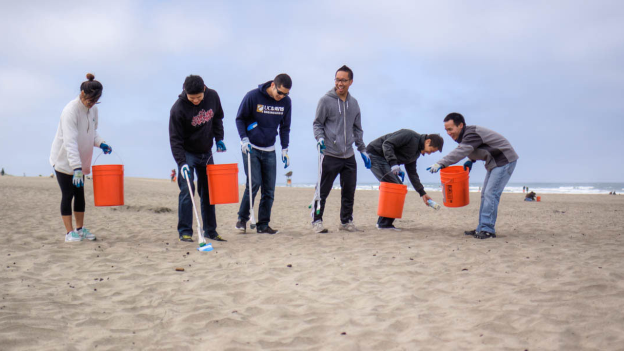 Beach Cleanup Beach Cleanup