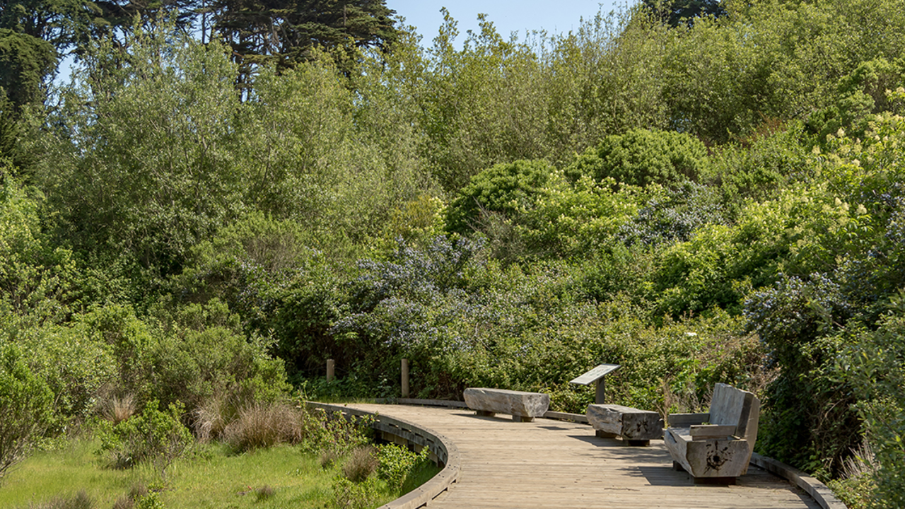 Walking_Meditation_Park_Academy_2x1.jpg Trail at El Polin Springs, The Presidio