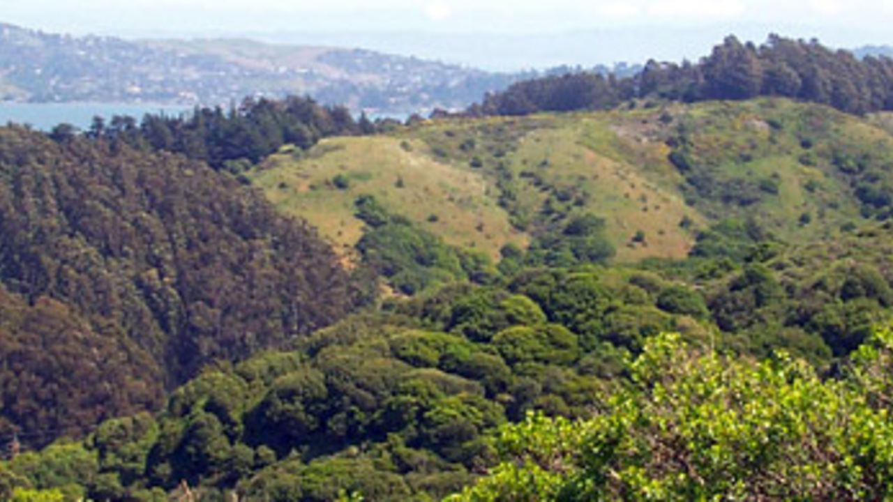 oakwood-valley.jpg Oakwood Valley
