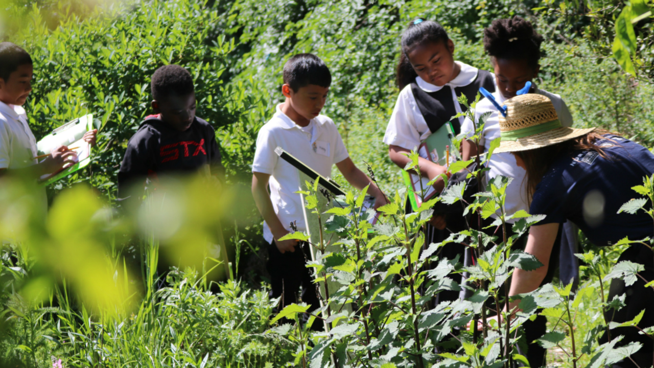 Students examine native plants in the demonstration garden. Students examine native plants in the demonstration garden.