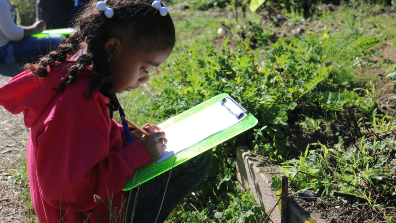 A student sketches a plant during a Seeds to Flowers program A student sketches a plant during a Seeds to Flowers program