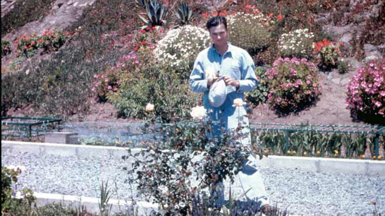 Inmate in the Rose Garden Alcatraz inmate standing in the garden with rose bushes, historic photo