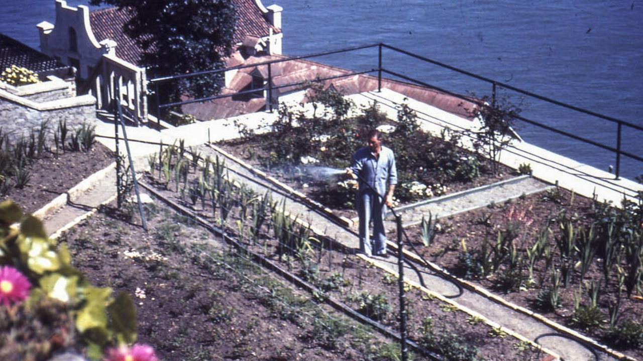 Incarcerated Gardener at Work A historical photo of an incarcerated gardener watering plants in the gardens of Alcatraz.