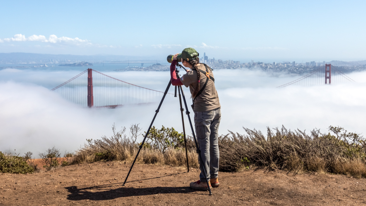 GGRO participant surveying the skies over the Marin Headlands A woman peers through a birding telescope looking over the golden gate bridge and san francisco bay