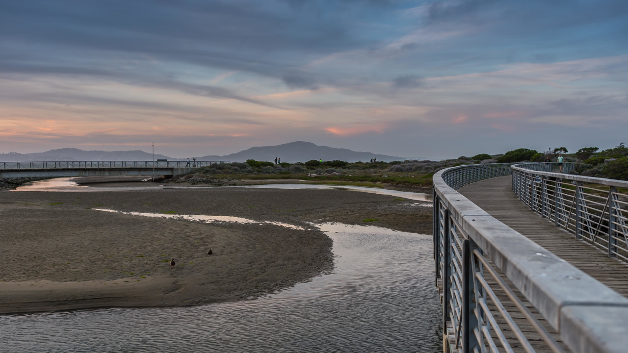 Bridge over the Crissy Field Marsh Bridge over the Crissy Field Marsh