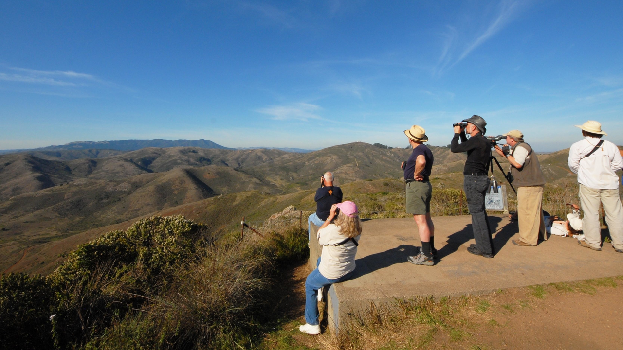 GGRO Hawkwatchers spy the skies from Hawk Hill GGRO Hawkwatchers spy the skies from Hawk Hill