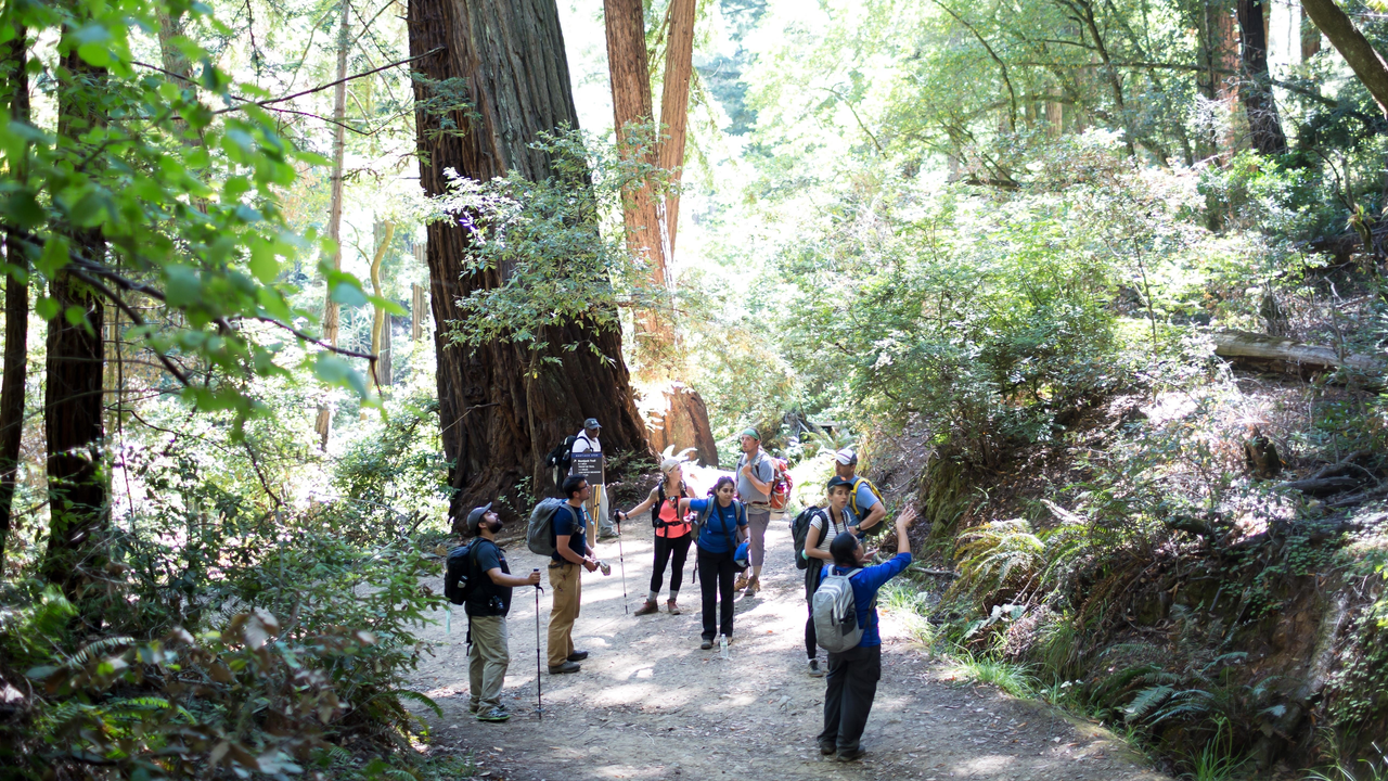 Hikers pause to enjoy the beauty of the Bootjack Trail Hikers pause to enjoy the beauty of the Bootjack Trail