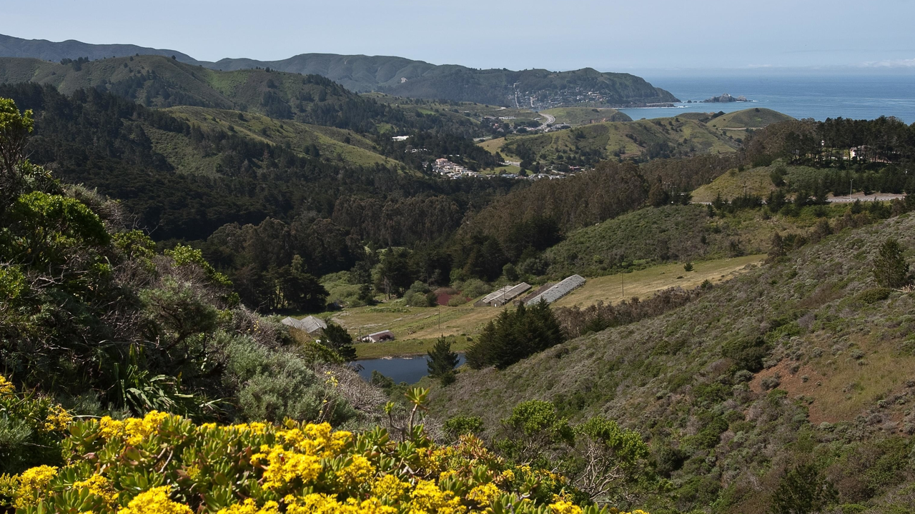 View toward the ocean from Sweeney Ridge View toward the ocean from Sweeney Ridge