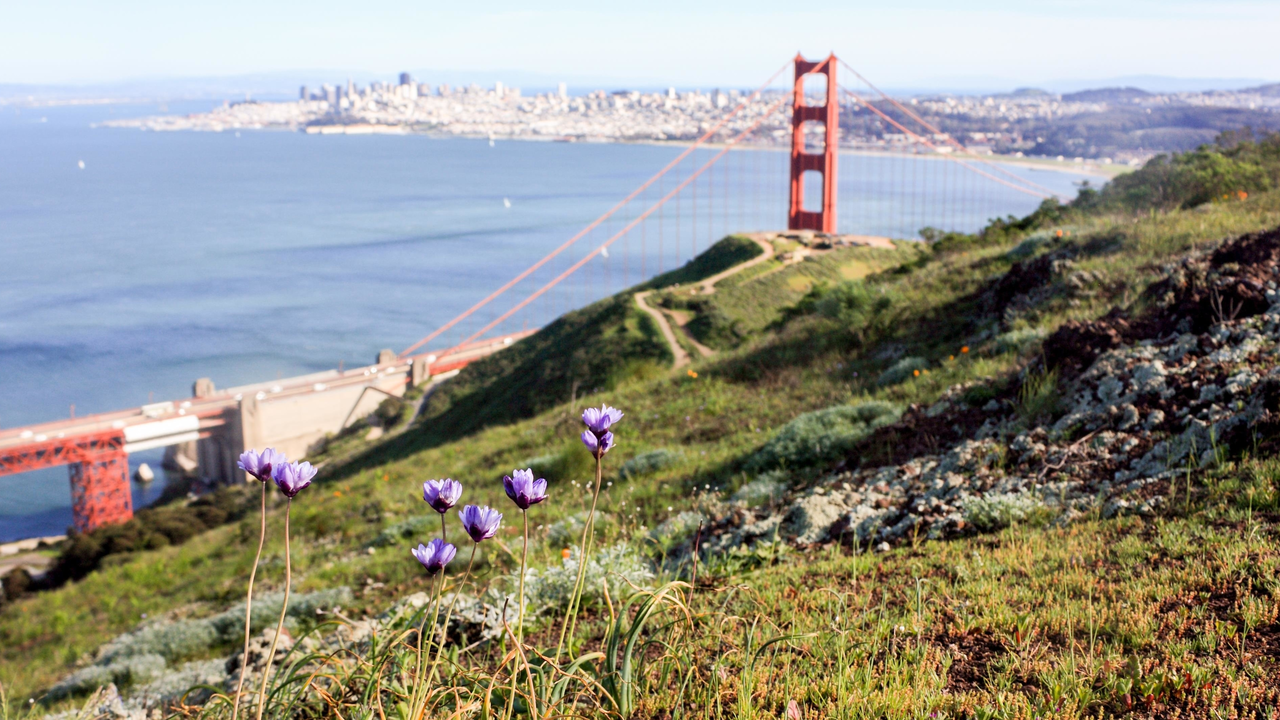View of the Golden Gate from the Marin Headlands View of the Golden Gate from the Marin Headlands