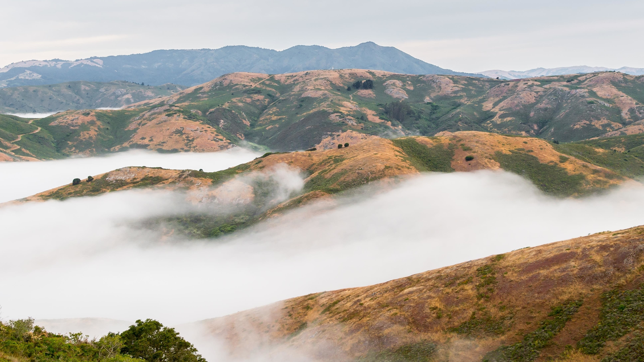 Fog rolls over the Marin Headlands Fog rolls over the Marin Headlands