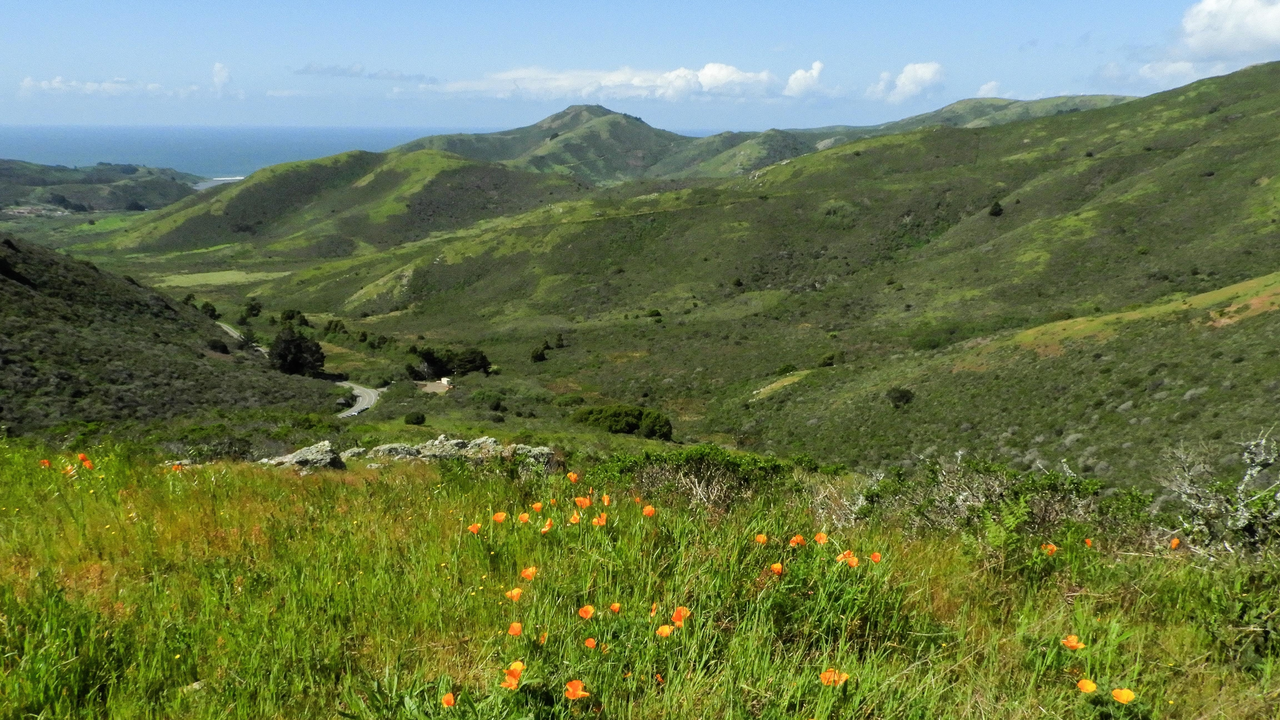 Rodeo Valley Rodeo Valley
