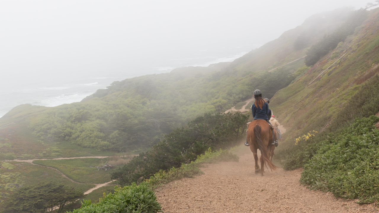 Equestrians ride through foggy Fort Funston Equestrians ride through foggy Fort Funston