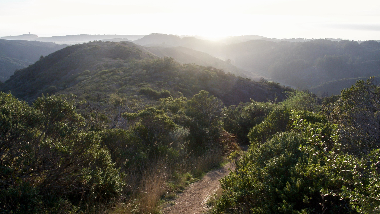 Path winding through Rancho Corral de Tierra Path winding through Rancho Corral de Tierra