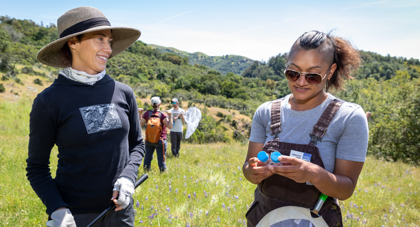 Collecting specimens during Community Science Day Two women carrying bug nets in a grassy field inspect specimen vials