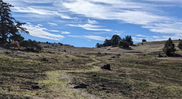Rock Spring landscape after prescribed burn Rock Spring landscape