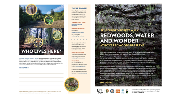Self-guided Forest Walk: Redwoods, Water and Wonder at Roy's Redwoods Preserve Pdf version of the forest walk