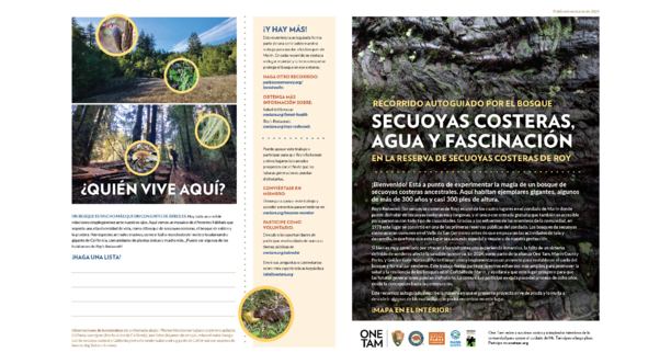 Recorrido Autoguiado por el Bosque: Secuoyas Costeras, Agua y Fascinación en la Reserva de Secuoyas Costeras de Roy (Spanish version) Pdf version of the forest walk