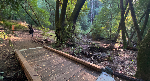 Wide accessible boardwalk at Roy's Redwoods Wide accessible boardwalk at Roy's Redwoods