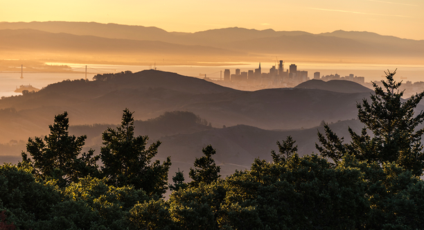 MOTA_161019_ATB_78_2x1.jpg Sunrise Unfolding