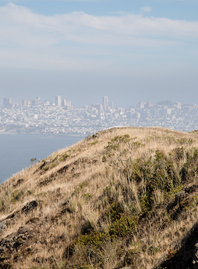 Trail runner on the SCA Trail in the Marin Headlands.