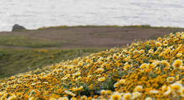 A_MOPO_20170415_RCW_69_Hero.jpg A_MOPO_20170415_RCW_69_Hero.jpg