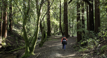 A_PHES__100211_CSt_12.Phleger_hero.jpg A_PHES__100211_CSt_12.Phleger_hero.jpg