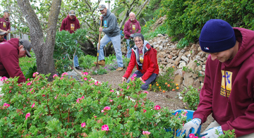 Volunteers at work in the Gardens of Alcatraz A group of volunteers working in the historic gardens of Alcatraz