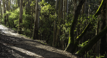 MARIN_160308_ATB_6.Oakwood_hero.jpg MARIN_160308_ATB_6.Oakwood_hero.jpg