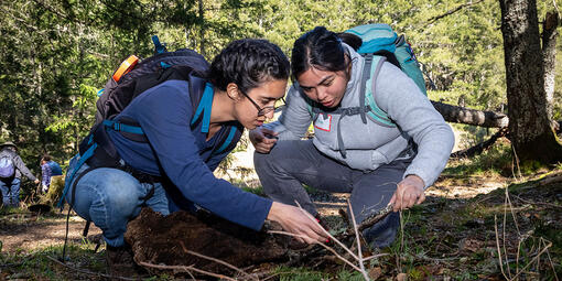 Two people examining a branch at a BioBlitz event.