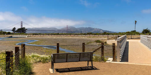 A sunny day over Crissy Field Marsh.