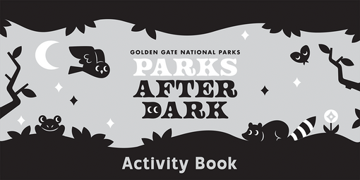 Parks After Dark activity book