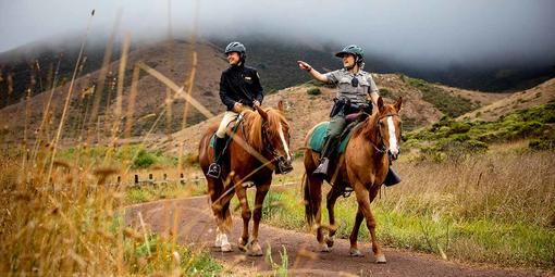 Horse Mounted Patrol out in the parks.