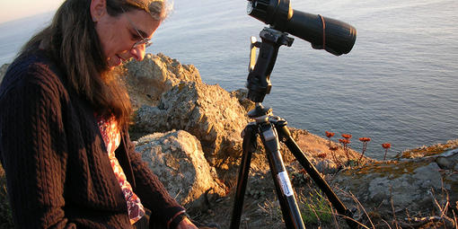 Biologist Sarah Allen records data in a notebook next to rocky California coastline.