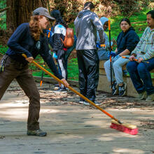 Volunteers maintain the Muir Woods boardwalk 