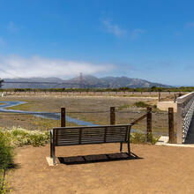 A sunny day over Crissy Field Marsh.