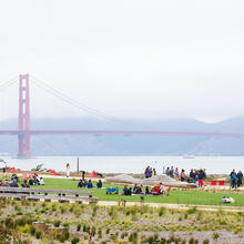 View of Bridge on a foggy day from Presidio Tunnel Tops west lawn