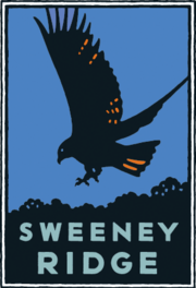 Sweeney Ridge by Michael Schwab Schwab image of a hawk descending with its talons outstretched